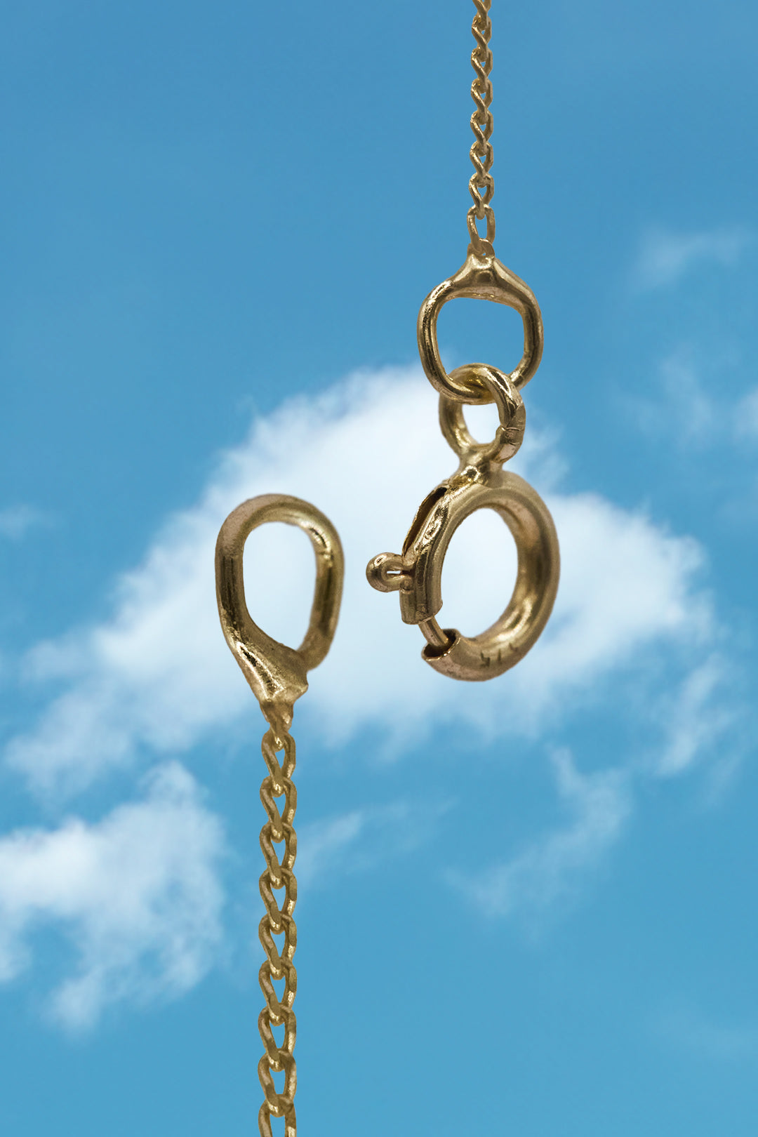 Golden Honey Lucky Charm Necklace (18" 9ct Yellow Gold)