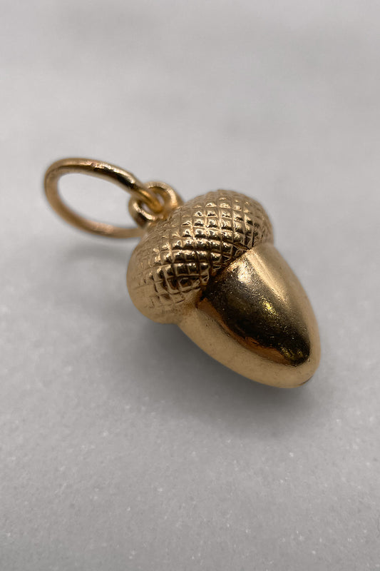 The Enchanted Forest's Secret Acorn Charm (375 9ct gold made in 1961)