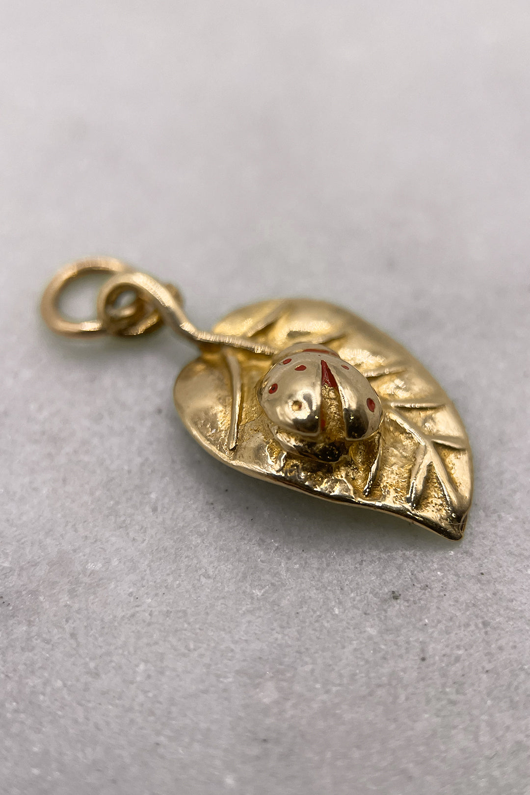 The Hungry Ladybird in the Forest Charm (375 9ct, vintage gold)