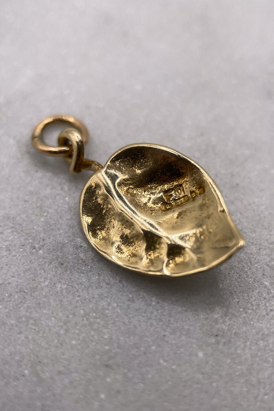The Hungry Ladybird in the Forest Charm (375 9ct, vintage gold)