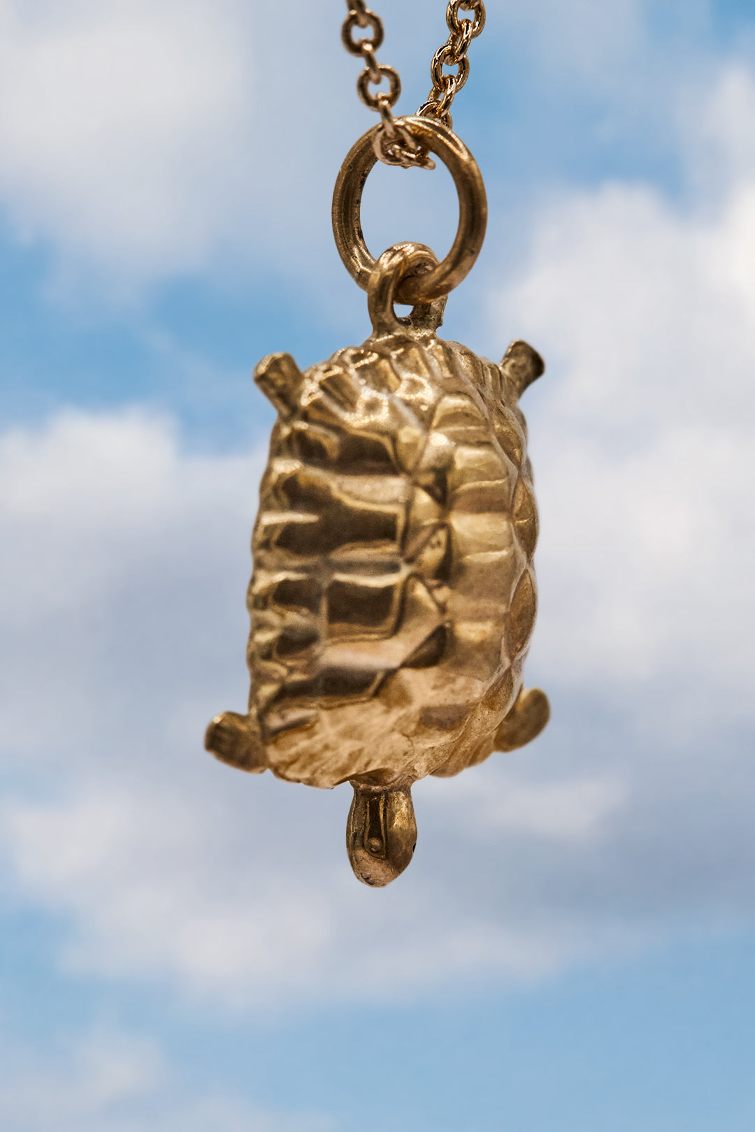 The Golden Oceanic Turtle (9ct 375 Gold 1976)